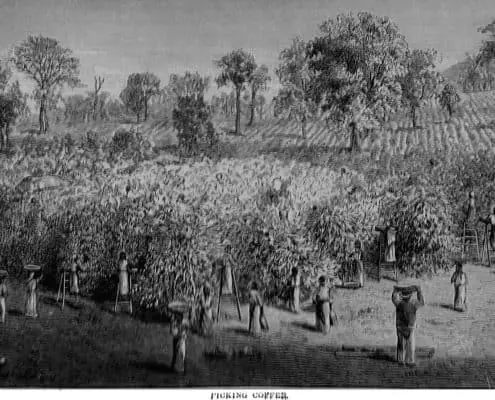Historic coffee plantation